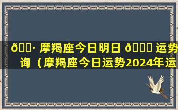 🕷 摩羯座今日明日 🕊 运势查询（摩羯座今日运势2024年运势）